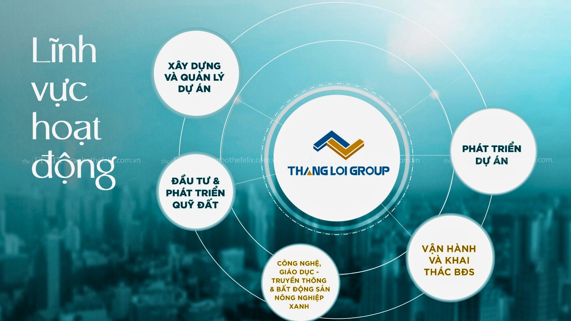 Lĩnh Vực Hoạt động