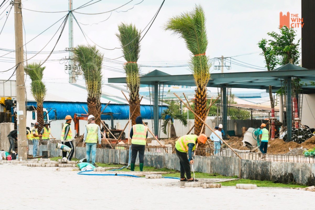 Tiến độ The Win City (1)