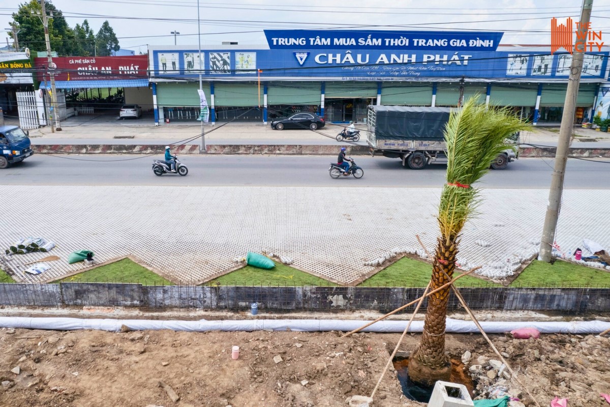 Tiến độ The Win City (3)